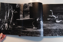 Load image into Gallery viewer, KING OF ALL THE LAND | Mitski