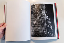 Load image into Gallery viewer, KING OF ALL THE LAND | Mitski