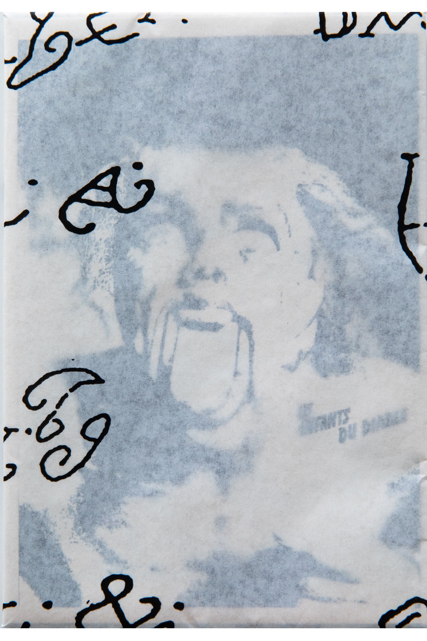 LES ENFANTS DU DIABLE