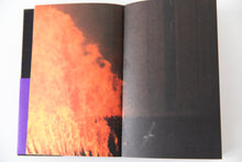 Load image into Gallery viewer, LES OISEAUX