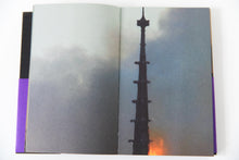 Load image into Gallery viewer, LES OISEAUX