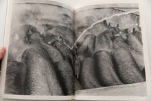 Load image into Gallery viewer, MASAHISA FUKASE