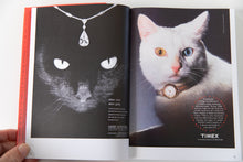 Load image into Gallery viewer, MORE THAN CAT FOOD