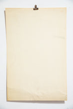 Load image into Gallery viewer, NARCOTICS