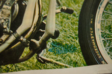 Load image into Gallery viewer, PAINTED WOMAN (#65)