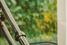 Load image into Gallery viewer, PAINTED WOMAN (#65)