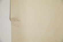 Load image into Gallery viewer, PAINTED WOMAN (#65)