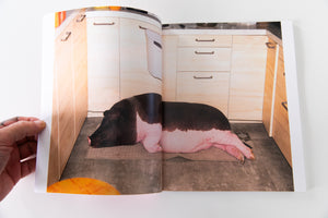 PIG