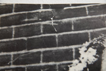 Load image into Gallery viewer, POT IS FUN | Allen Ginsberg