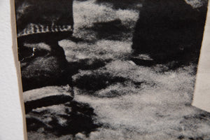 POT IS FUN | Allen Ginsberg – THESE DAYS