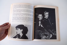 Load image into Gallery viewer, PUNK