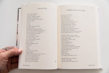 Load image into Gallery viewer, ROBERT CAMPBELL | Collected Works 1976-2004