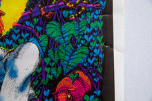 Load image into Gallery viewer, RICK GRIFFIN | San Mezcalito