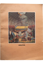 Load image into Gallery viewer, SHELTER