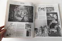 Load image into Gallery viewer, SHELTER