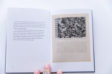 Load image into Gallery viewer, SOME STONES ARE ANCIENT BOOKS