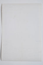 Load image into Gallery viewer, STOPPING CHICAGO PEACE DEMONSTRATORS