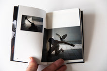 Load image into Gallery viewer, STRAY DOG | Issue 3 Querencia