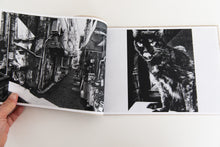 Load image into Gallery viewer, STRAY CATS