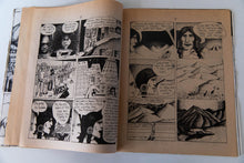 Load image into Gallery viewer, TALES OF BOZI-SATTVA