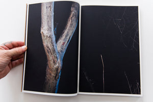 THE DARK WOOD