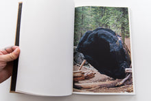Load image into Gallery viewer, THE DARK WOOD