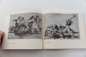 THE DISASTERS OF WAR