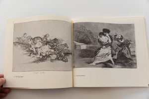 THE DISASTERS OF WAR