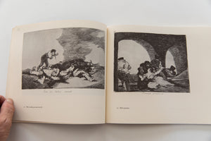 THE DISASTERS OF WAR