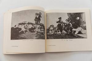 THE DISASTERS OF WAR