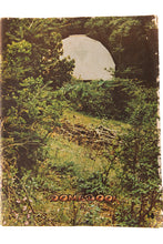 Load image into Gallery viewer, DOMEBOOK 2