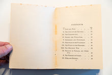 Load image into Gallery viewer, THE HEART OF INDIA