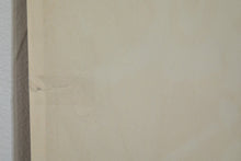 Load image into Gallery viewer, THE KEY