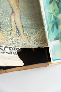 THE PICTURE NEWSPAPER | Vol. 4 No. 2
