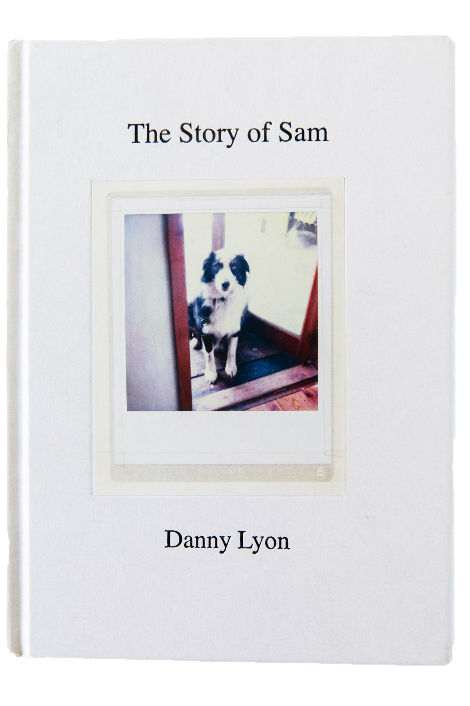 THE STORY OF SAM