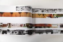 Load image into Gallery viewer, THEN &amp; NOW | Hollywood Boulevard 1973-2004