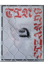 Load image into Gallery viewer, TIN LIZARDS