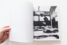 Load image into Gallery viewer, TIN LIZARDS