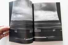 Load image into Gallery viewer, TIN LIZARDS