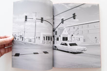 Load image into Gallery viewer, TIN LIZARDS