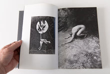 Load image into Gallery viewer, TRANSFIGURATION