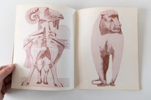 Load image into Gallery viewer, TYPOGRAPHICA | 2