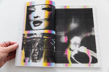 Load image into Gallery viewer, VANDAL