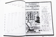 Load image into Gallery viewer, V