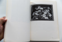 Load image into Gallery viewer, WALLACE BERMAN | RETROSPECTIVE