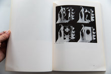 Load image into Gallery viewer, WALLACE BERMAN | RETROSPECTIVE