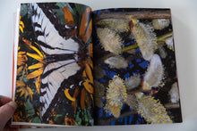 Load image into Gallery viewer, WHAT IF JEFF WERE A BUTTERFLY