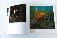 Load image into Gallery viewer, WOODSTOCK HANDMADE HOUSES