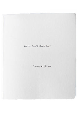 WORDS DON'T MEAN MUCH