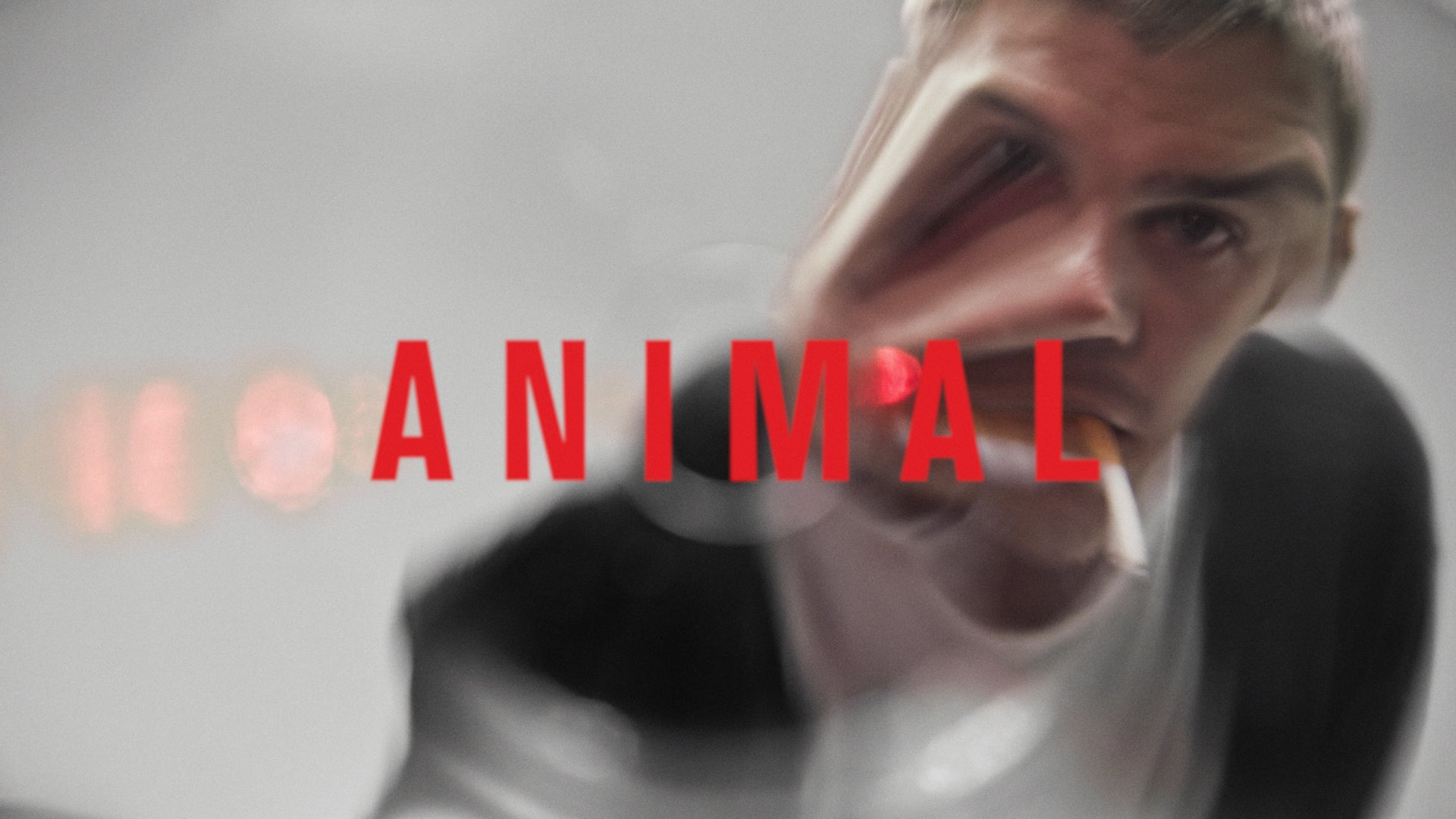 ANIMAL | A Film by Ramez Silyan